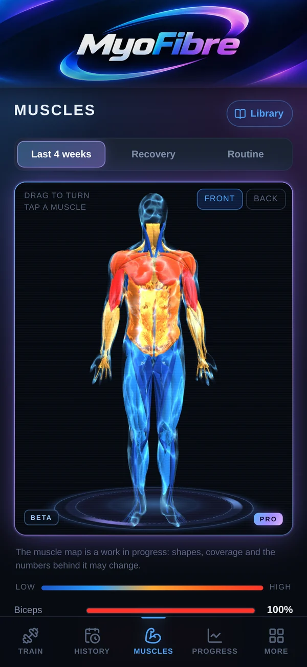See what you trained on a 3D body